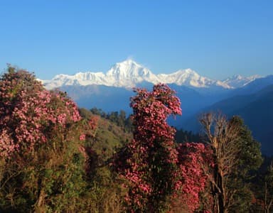Poon Hill Trek