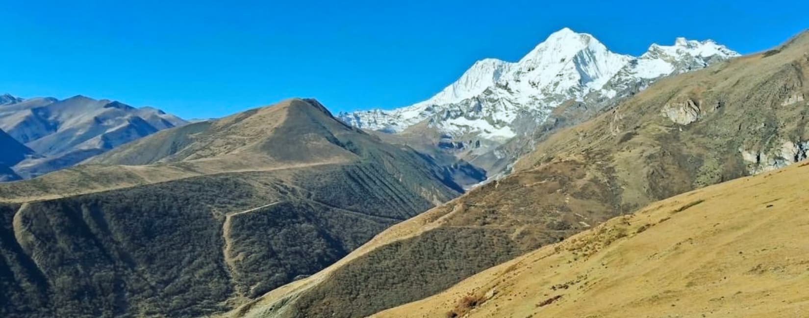 Laya Gasa Trekking