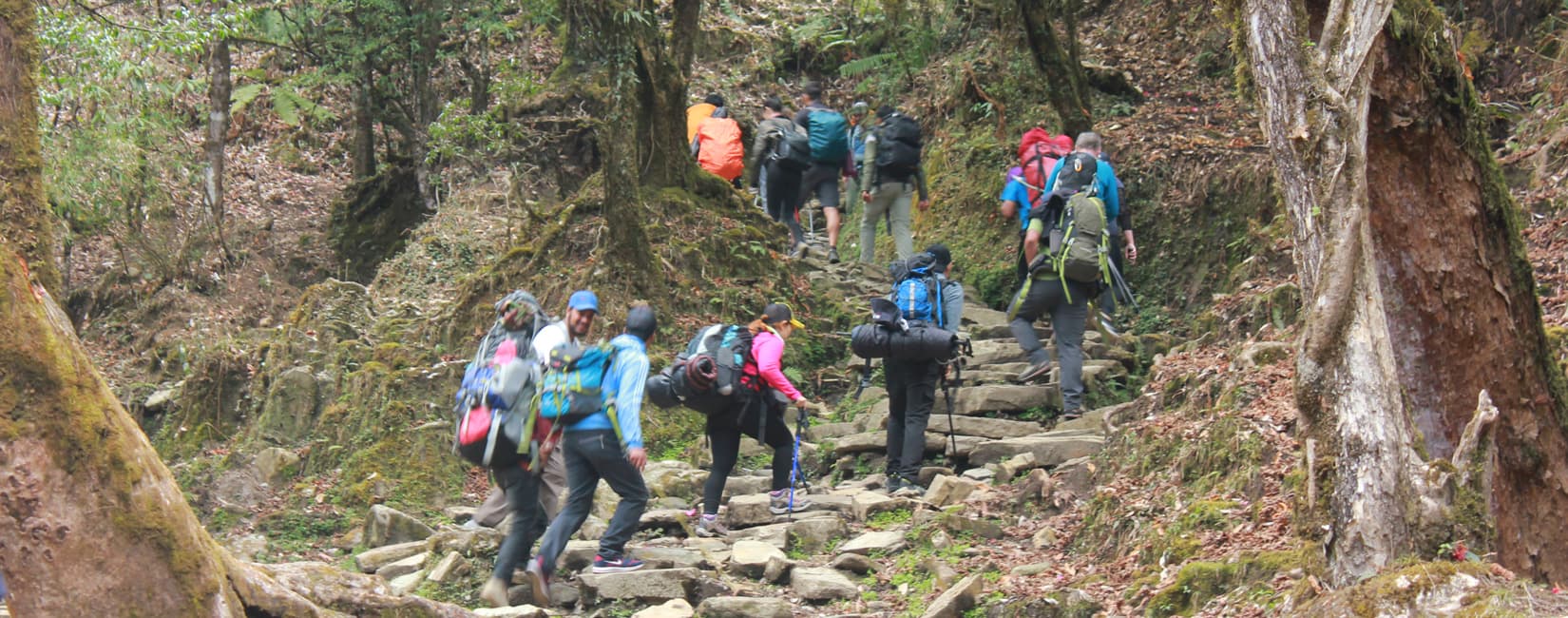 Ghorepani Trek Nepal