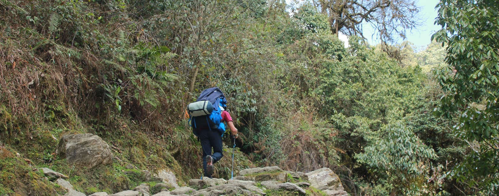 Poon Hill Trek
