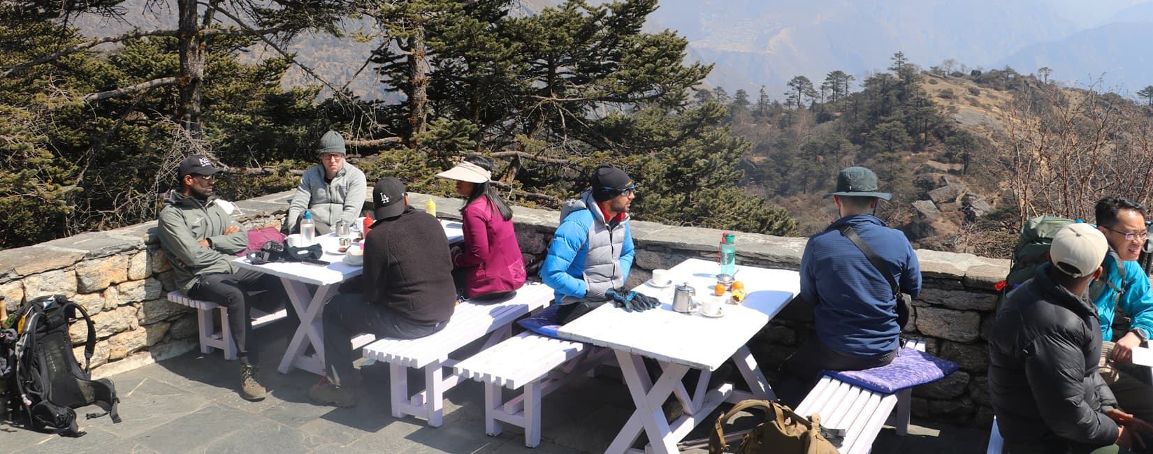 Heli Tour To Everest View Hotel