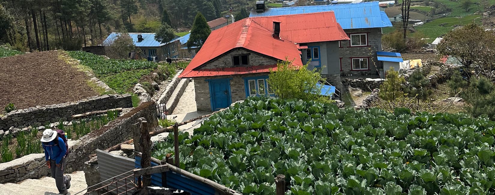 Sherpa Village Nepal