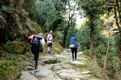 Trek to Ghorepani.