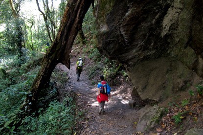 Langtang trail.