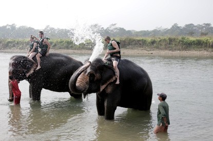 Elephant Safari