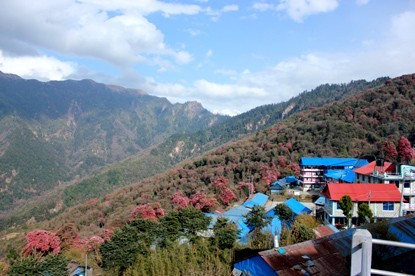 Ghorepani village.