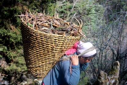 Trek to Manaslu - Trekking Package in the Himalayas