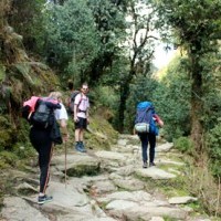 Trek to Ghorepani.