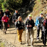 Trekkers at 3 Passes Trek.