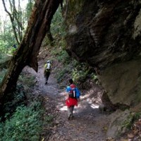 Langtang trail.