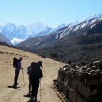 Way to Langtang village.