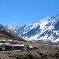 Kenjin Gompa.