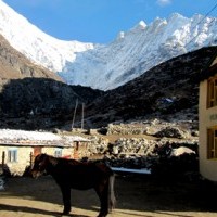 View from Kenjin.