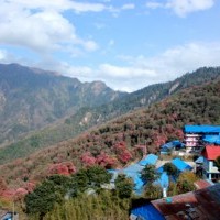 Ghorepani village.